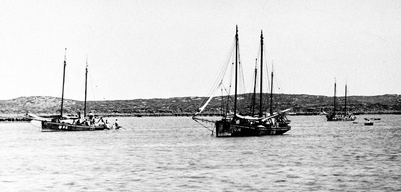 Parkes and Co. luggers in the Montebello Islands in 1913