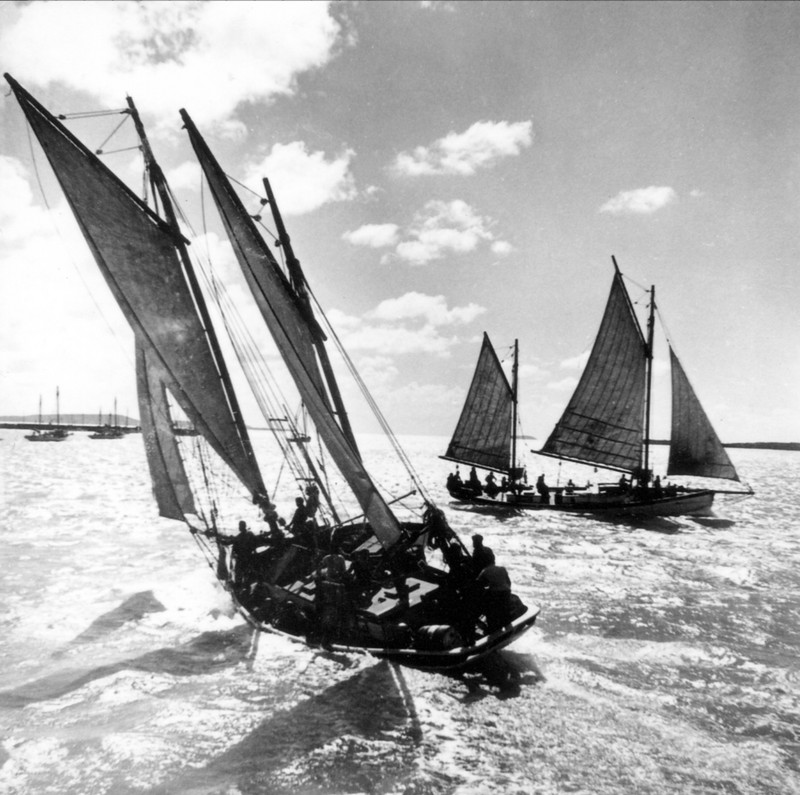 Thursday Island luggers